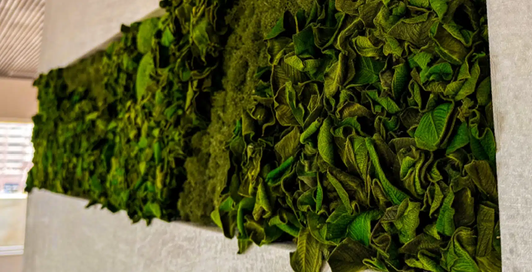 Närbild av bevarade mossstrukturer - renlav, bollmossa och sammetsblad komposition detalj