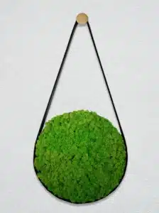 Hanging circular green moss decoration on wall