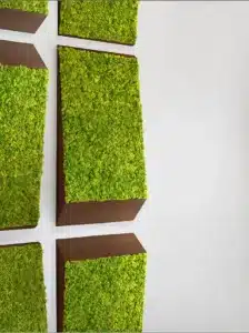Modern green moss wall art installation.
